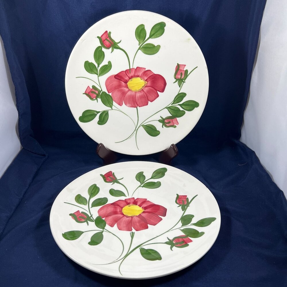 Hand-Painted Ceramic Plates With Floral Design By Southern Potteries Inc.